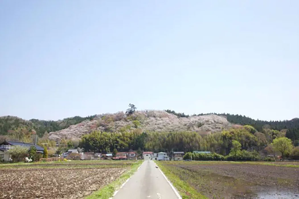 芦野氏陣屋跡（芦野御殿山） イメージ